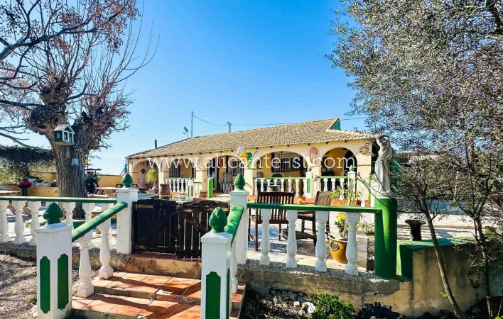 Finca - Revente - Dolores - Dolores