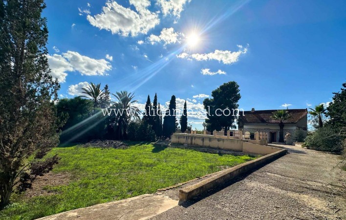 Finca - Sale - Monforte del Cid - Monforte del Cid