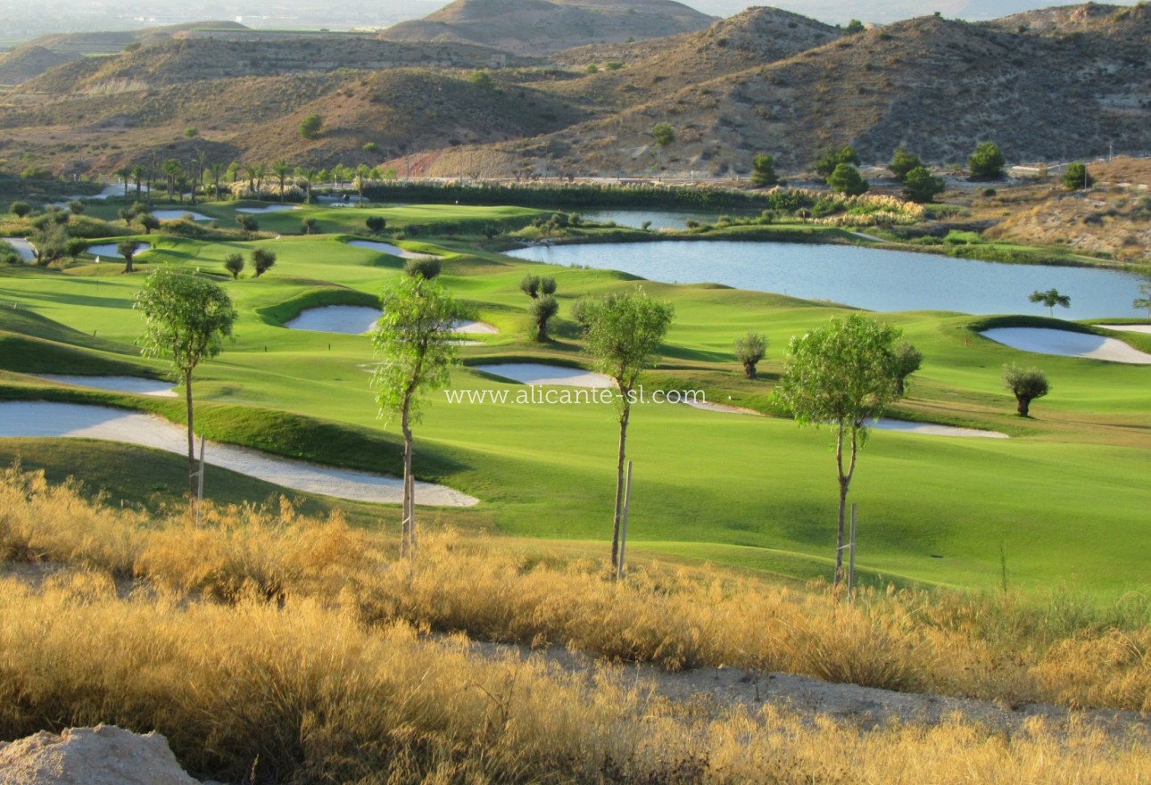 New Build - Apartment  - Monforte del Cid