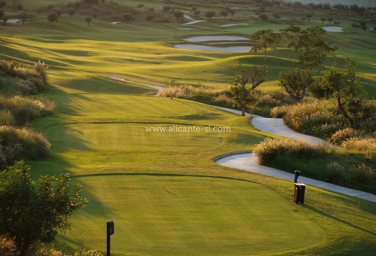 New Build - Apartment  - Monforte del Cid