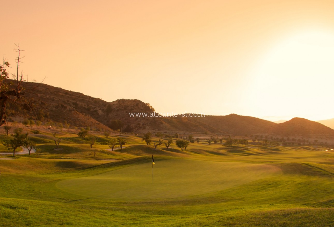 New Build - Apartment  - Monforte del Cid