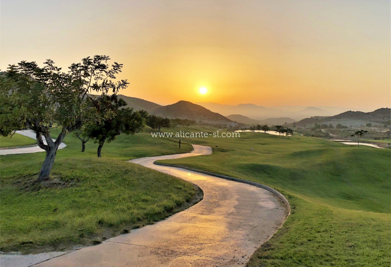 New Build - Apartment  - Monforte del Cid