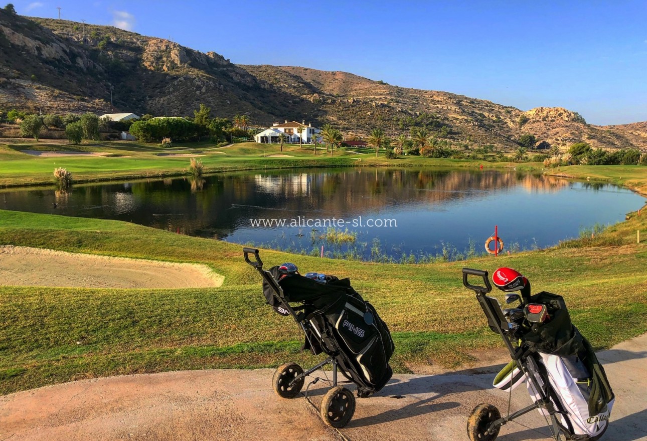 New Build - Apartment  - Monforte del Cid