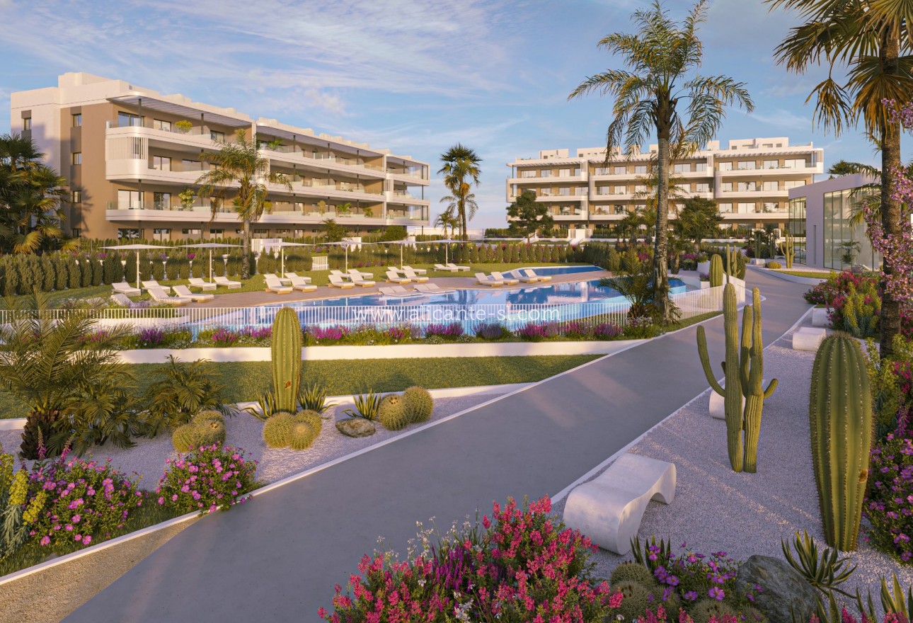 New Build - Wohnung - Elche Pedanías - La Hoya