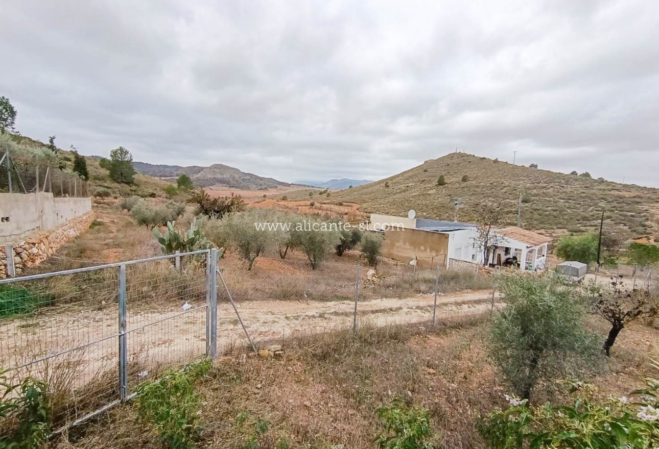 Resale - Landhaus - Algueña