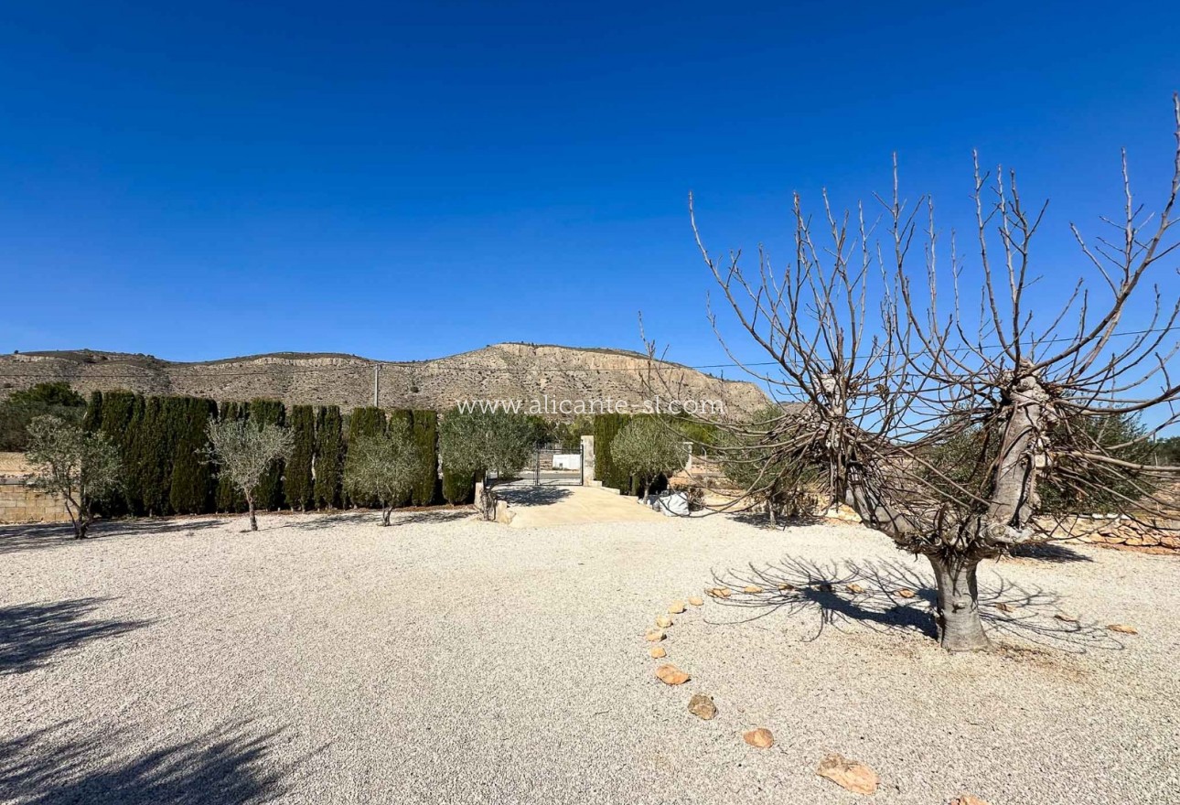 Resale - Villa / Doppelhaushälfte - Hondón de las Nieves