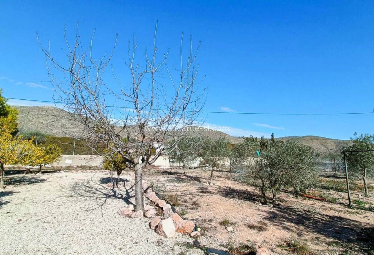 Resale - Villa / Doppelhaushälfte - Hondón de los Fráiles