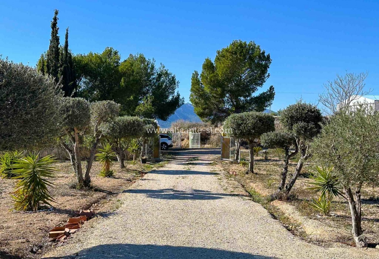 Resale - Villa / Doppelhaushälfte - La Romana