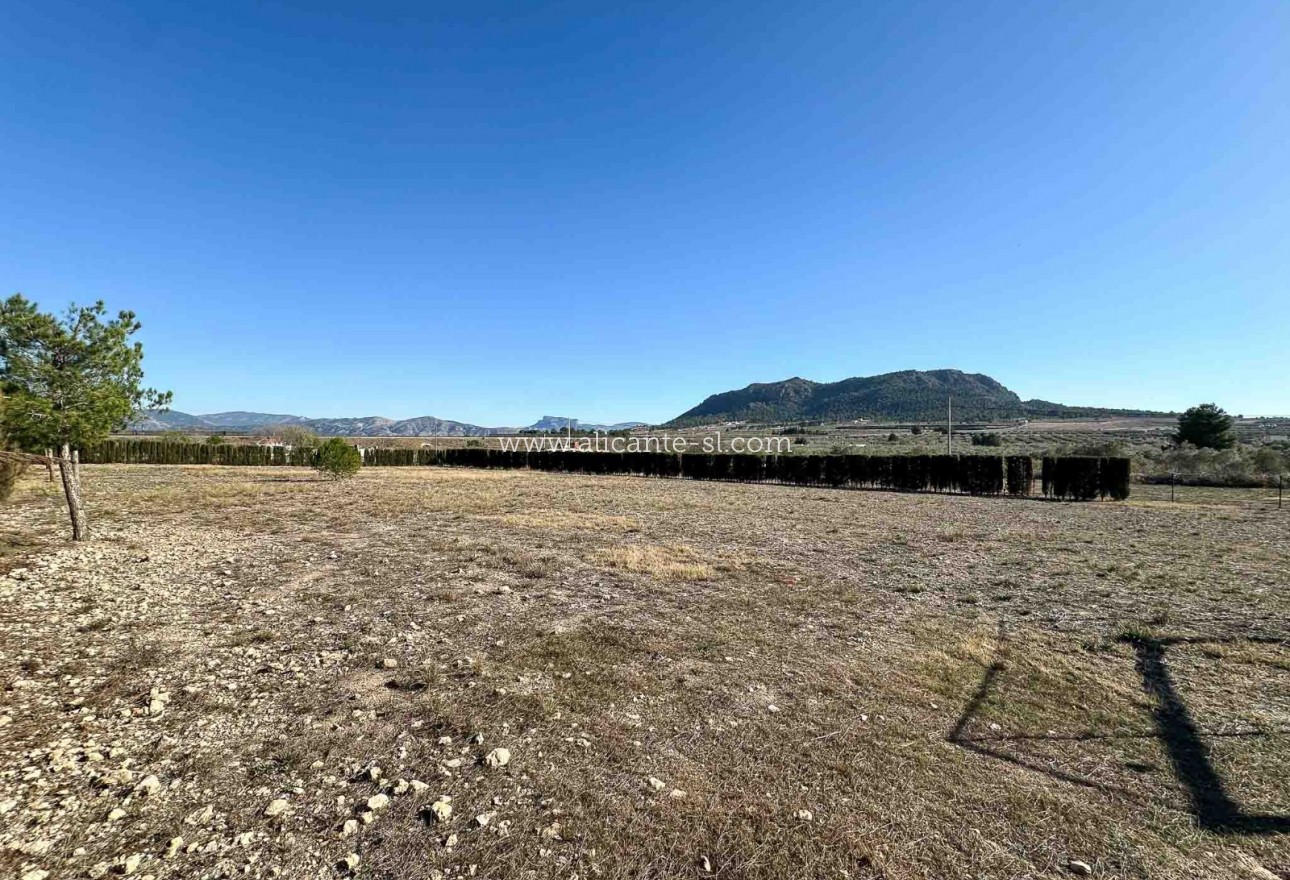 Resale - Villa / Doppelhaushälfte - Sax