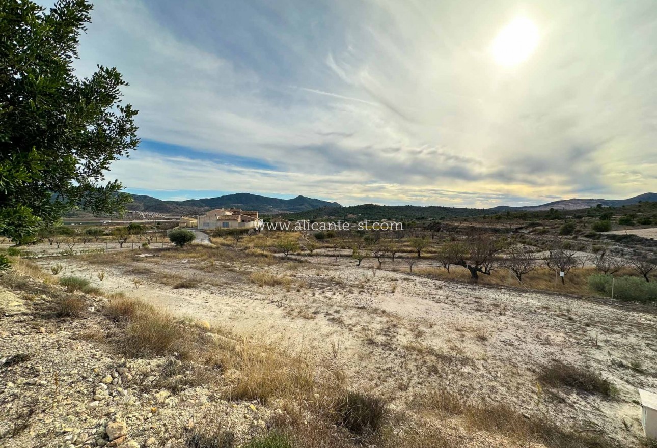 Resale - Wohnung - Hondón de las Nieves