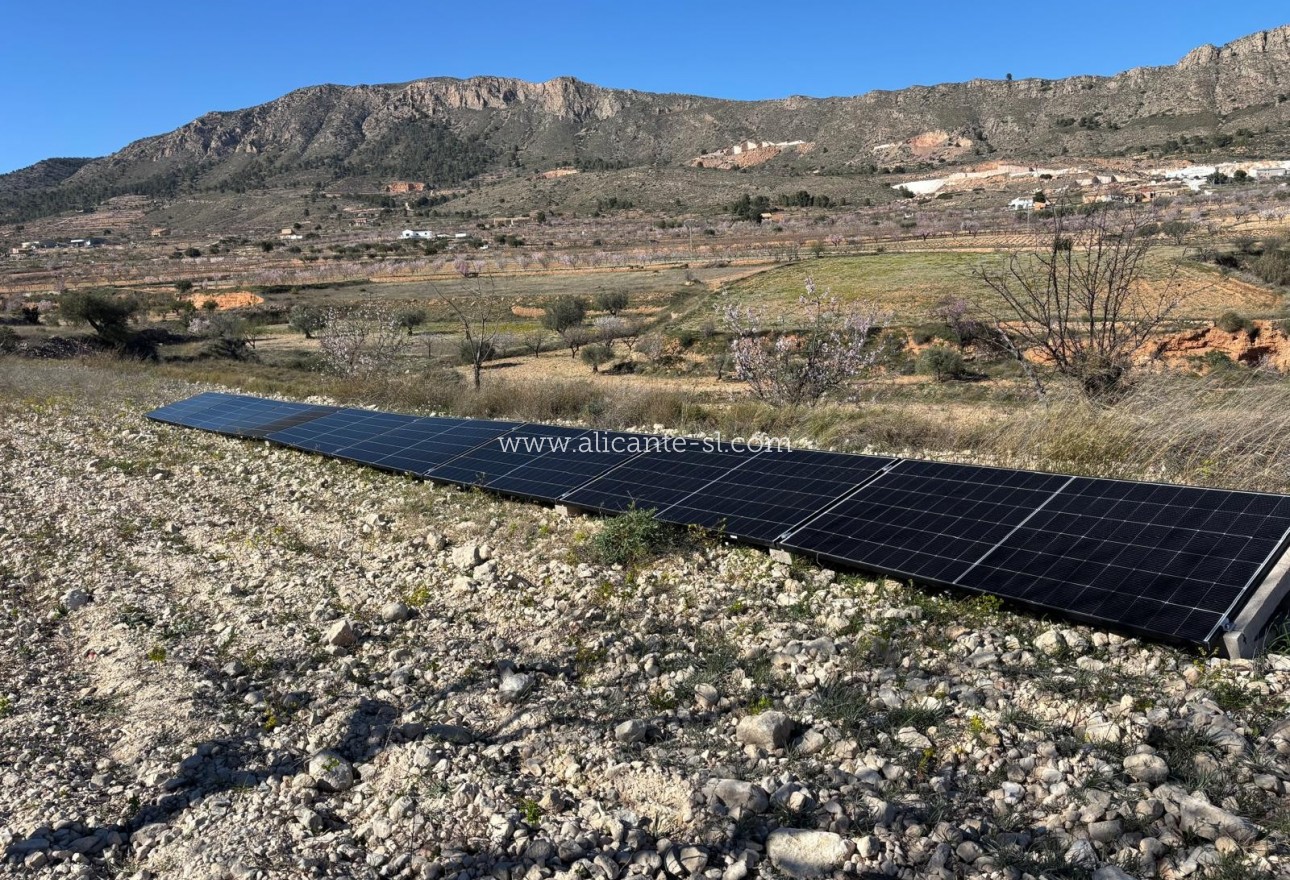 Resale - Wohnung - La Romana