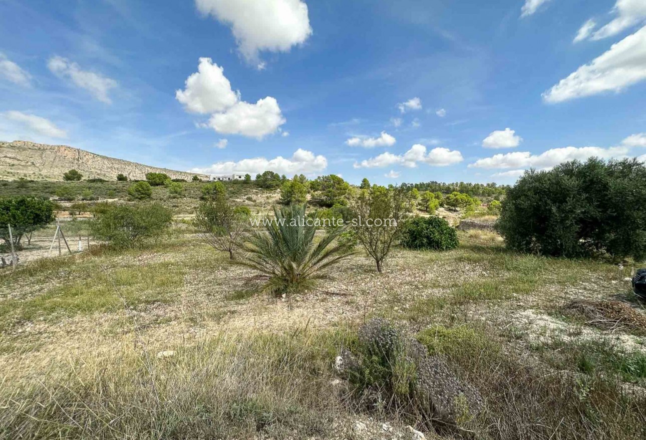 Resale - Wohnung - La Romana