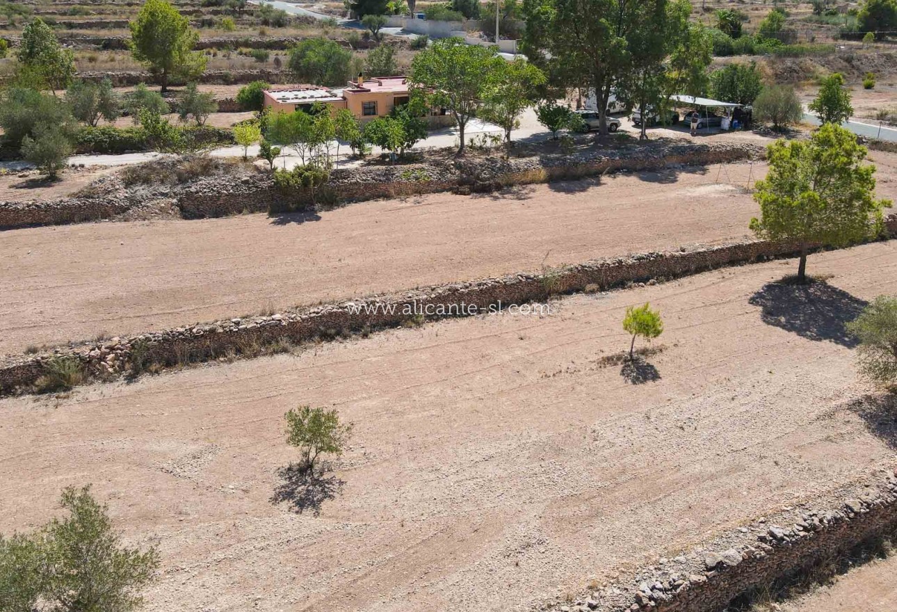 Revente - Finca - Hondón de las Nieves