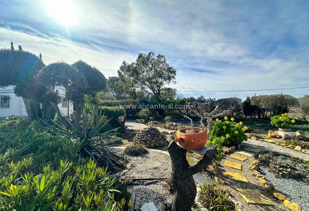 Revente - Finca - Hondón de las Nieves