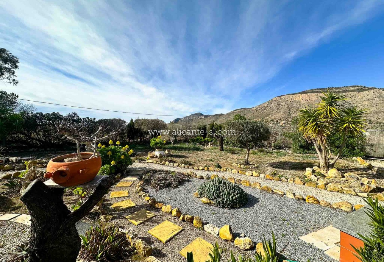 Revente - Finca - Hondón de las Nieves