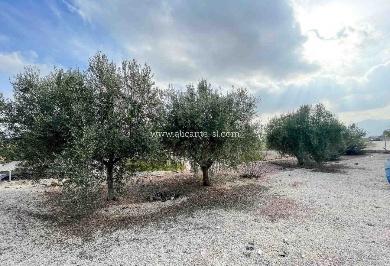 Revente - Finca - La Romana