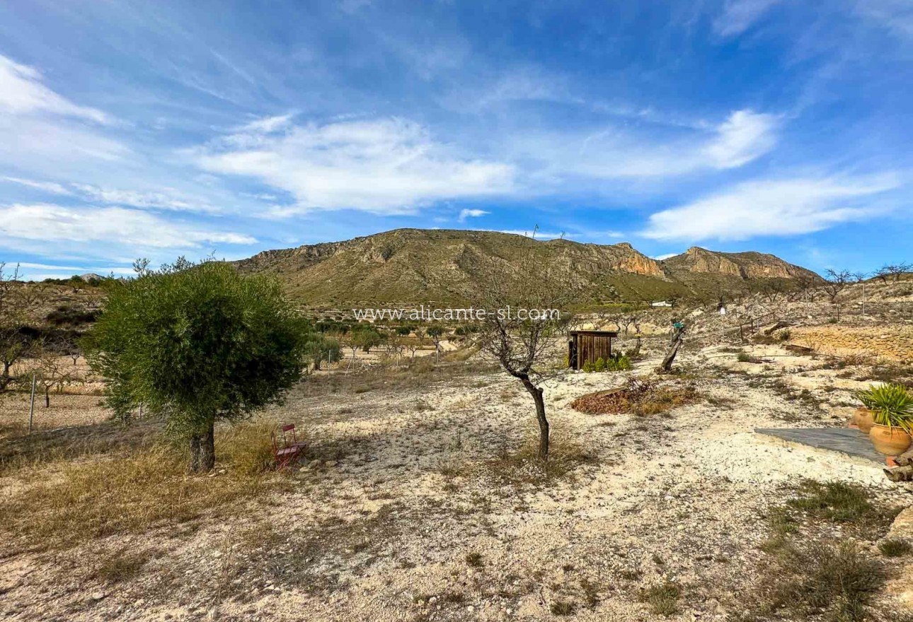 Revente - Grotwoning - Hondón de las Nieves