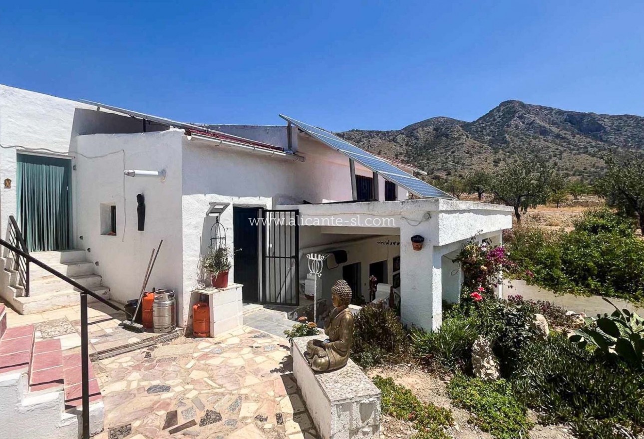 Revente - Landhuis - Algueña