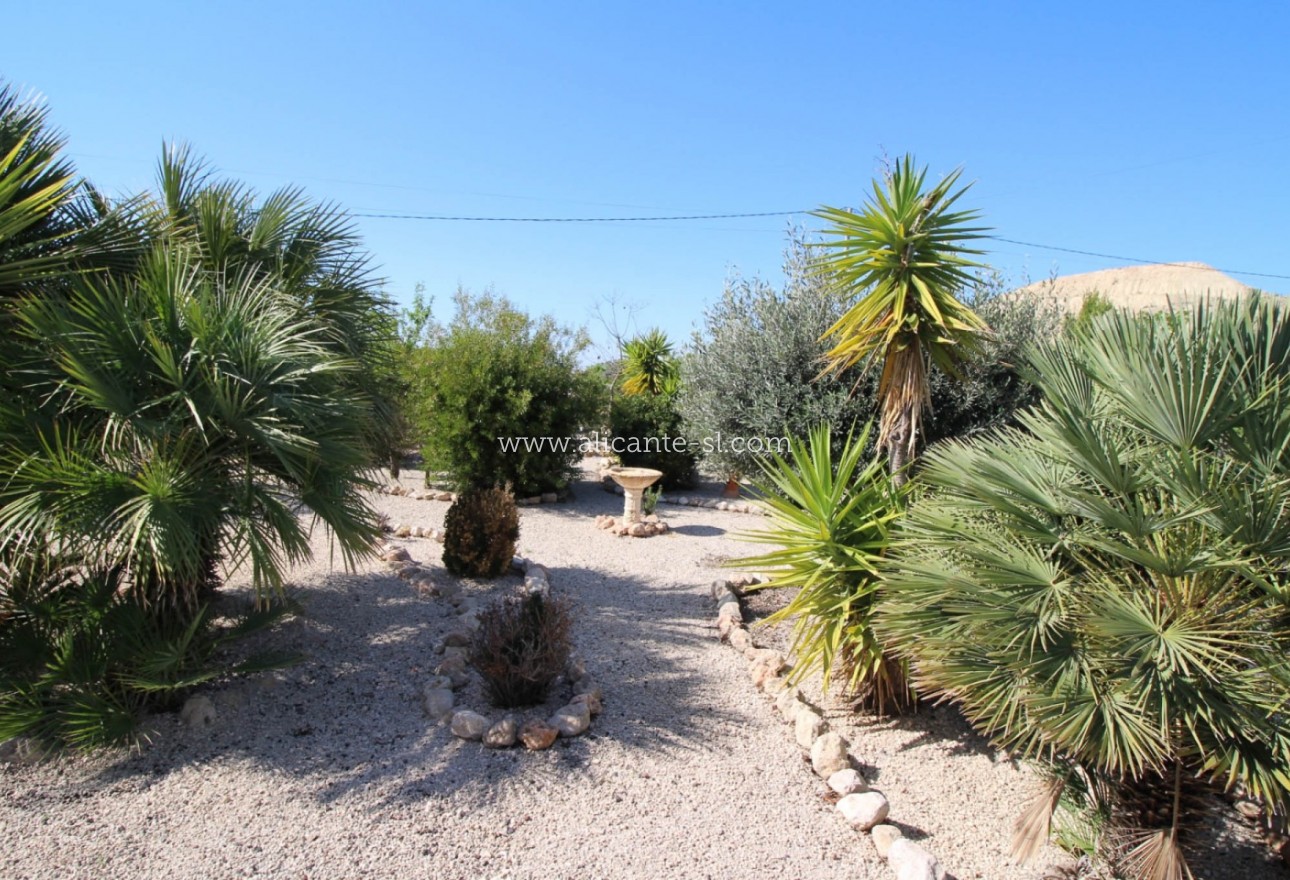 Revente - Villa  - Fortuna