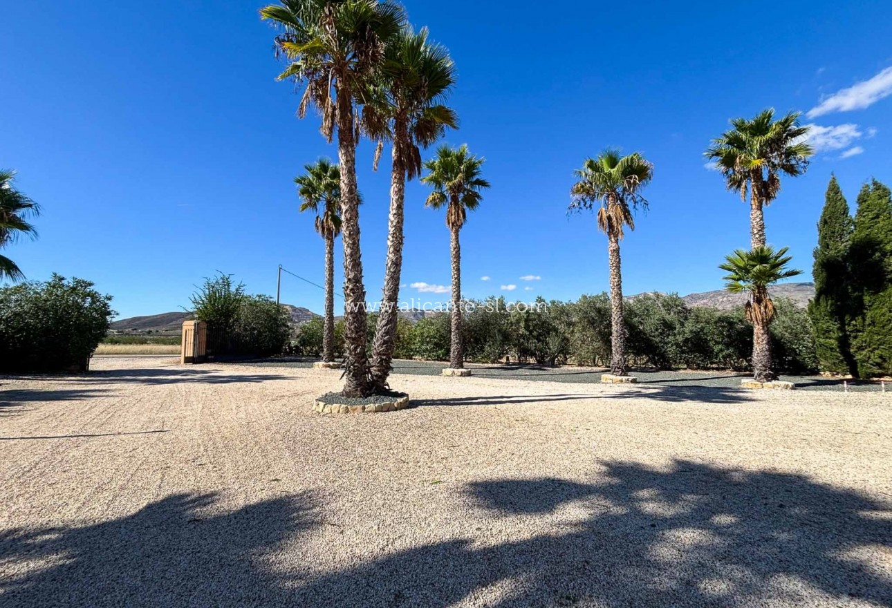 Revente - Villa  - Hondón de las Nieves