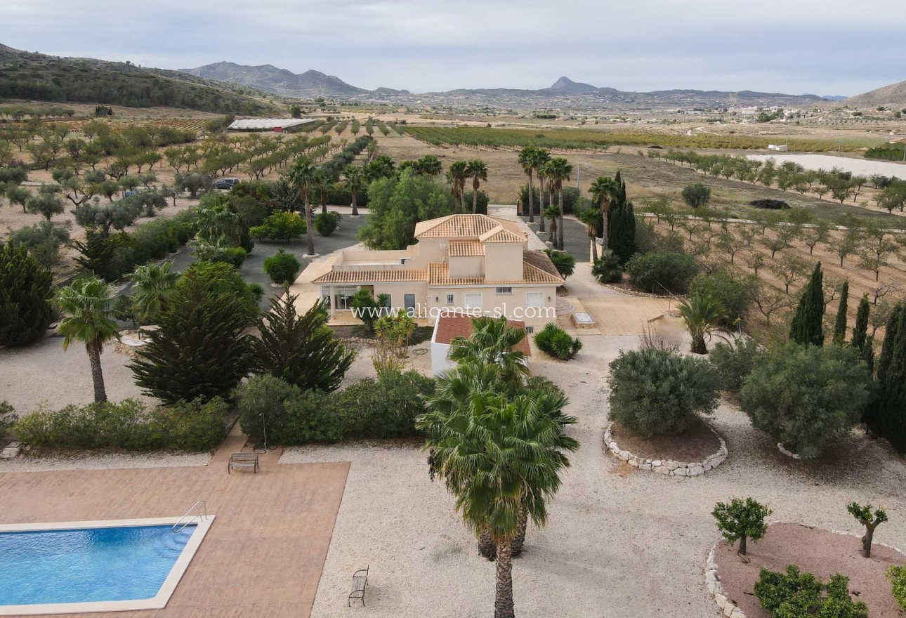 Revente - Villa  - Hondón de las Nieves