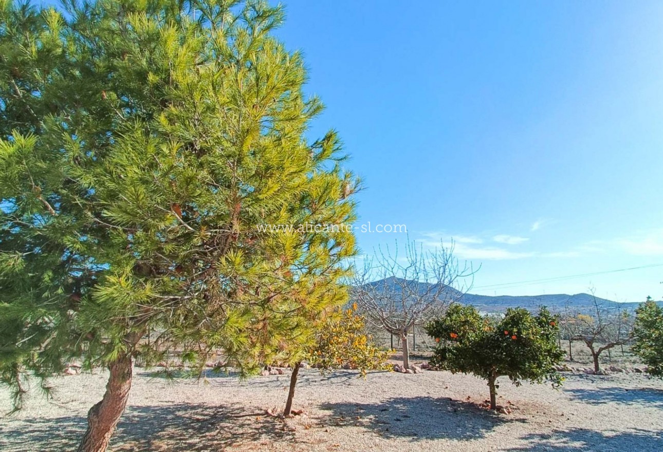 Revente - Villa  - Hondón de los Fráiles