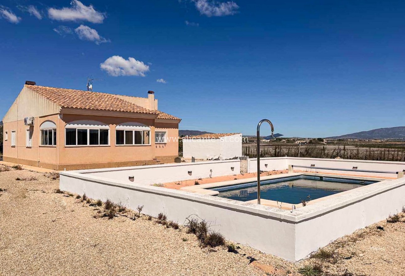 Revente - Villa  - Pinoso