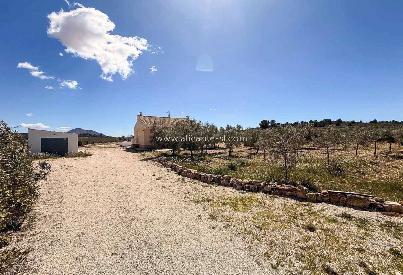 Revente - Villa  - Pinoso