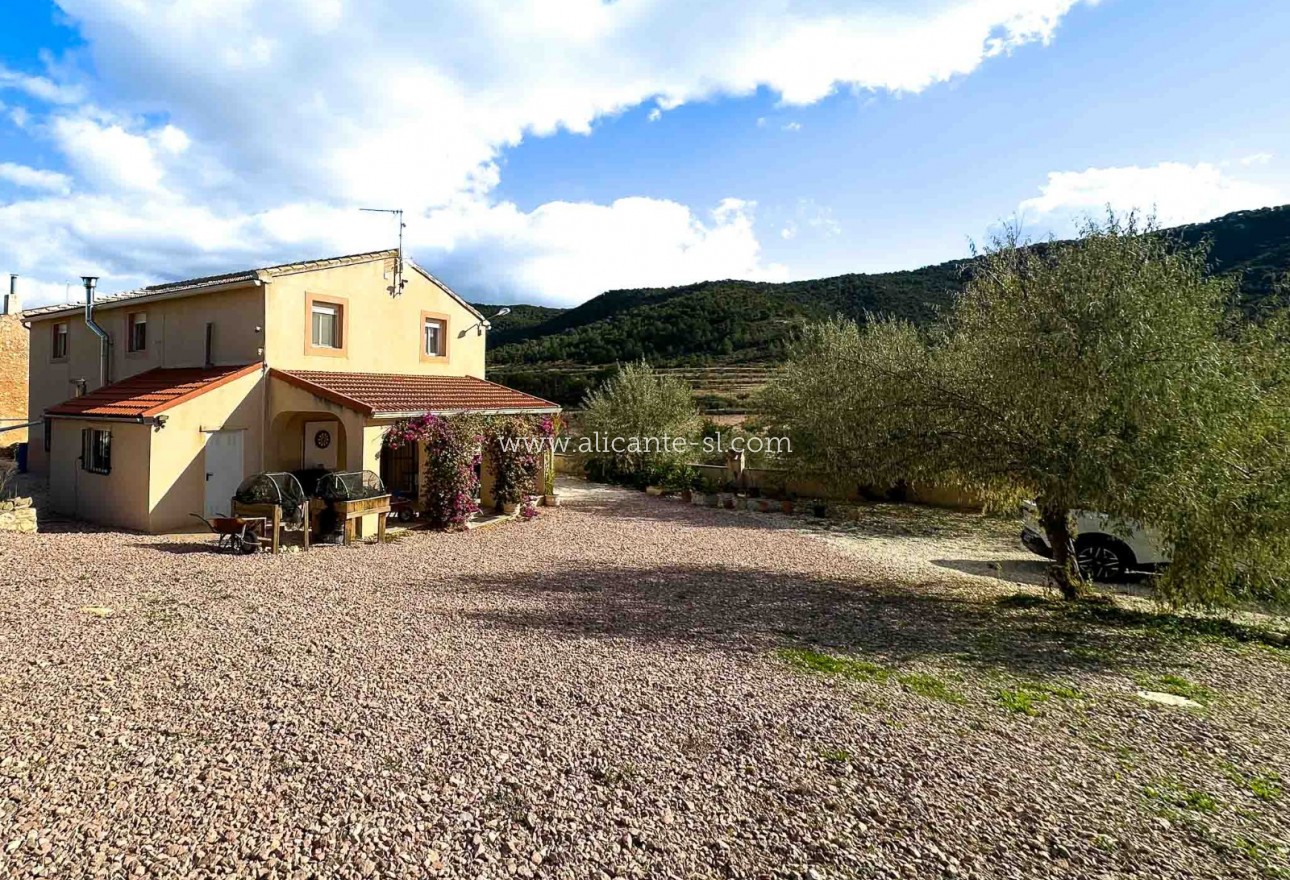 Sale - Country House - abanilla