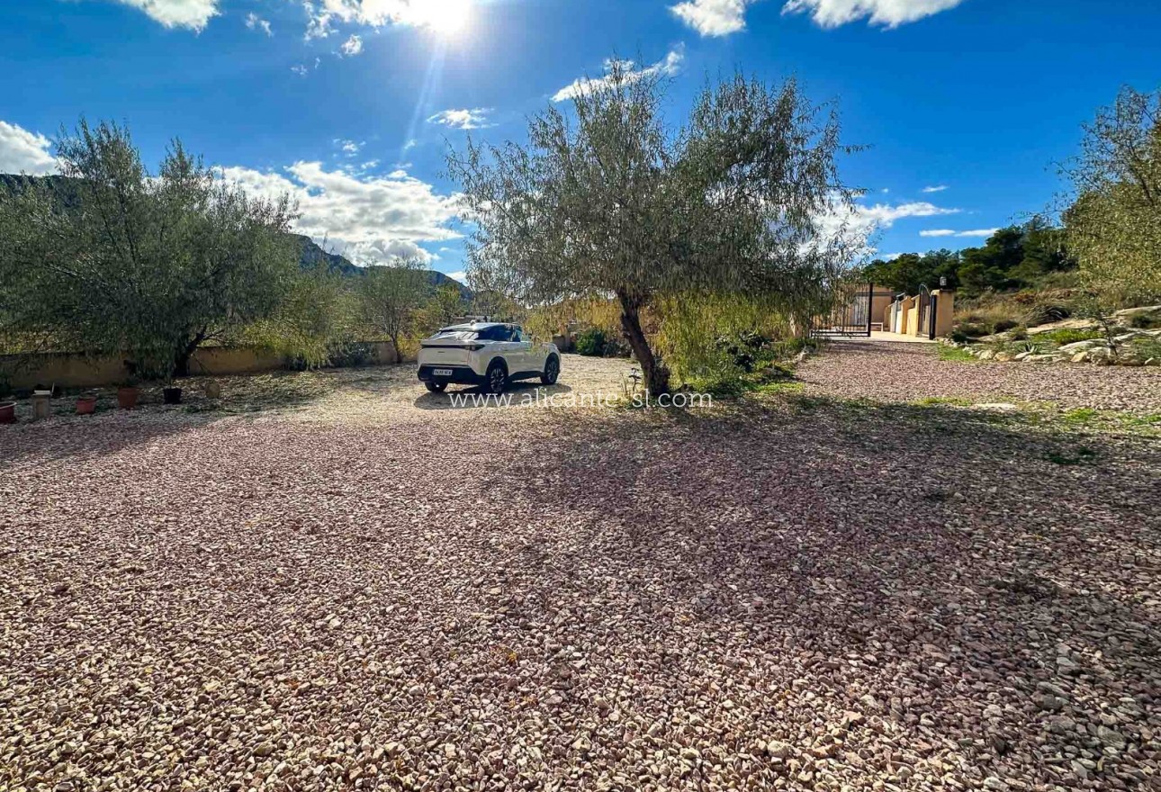 Sale - Country House - abanilla