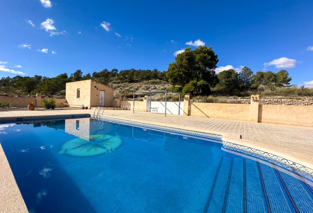 Sale - Country House - abanilla