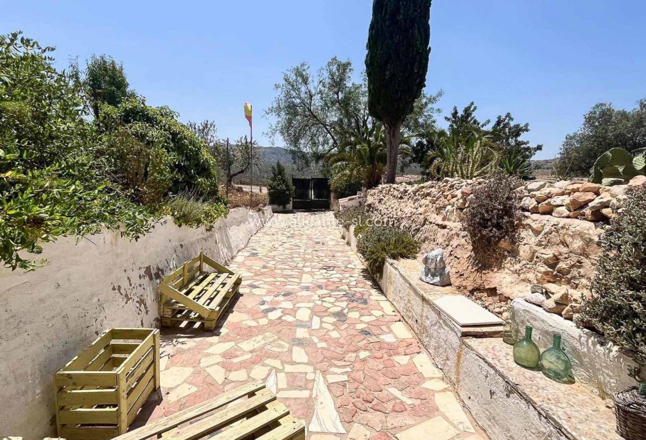 Sale - Country House - Algueña