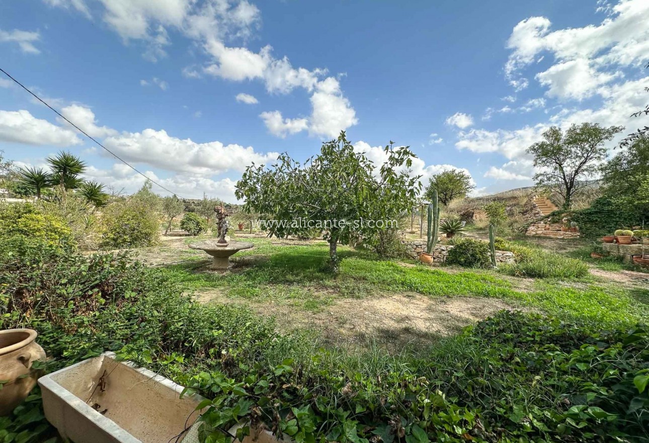 Sale - Country House - La Romana