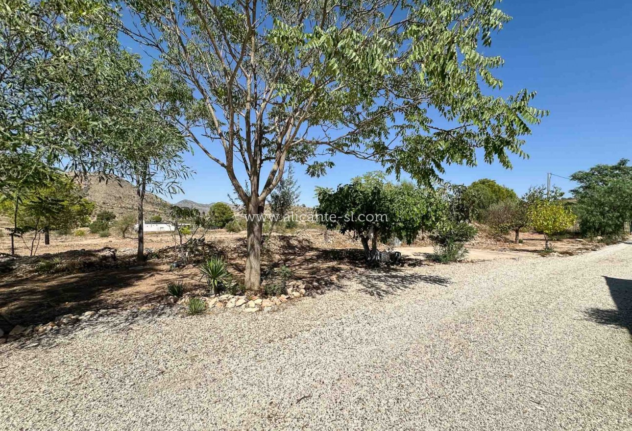 Sale - Finca - Hondón de las Nieves