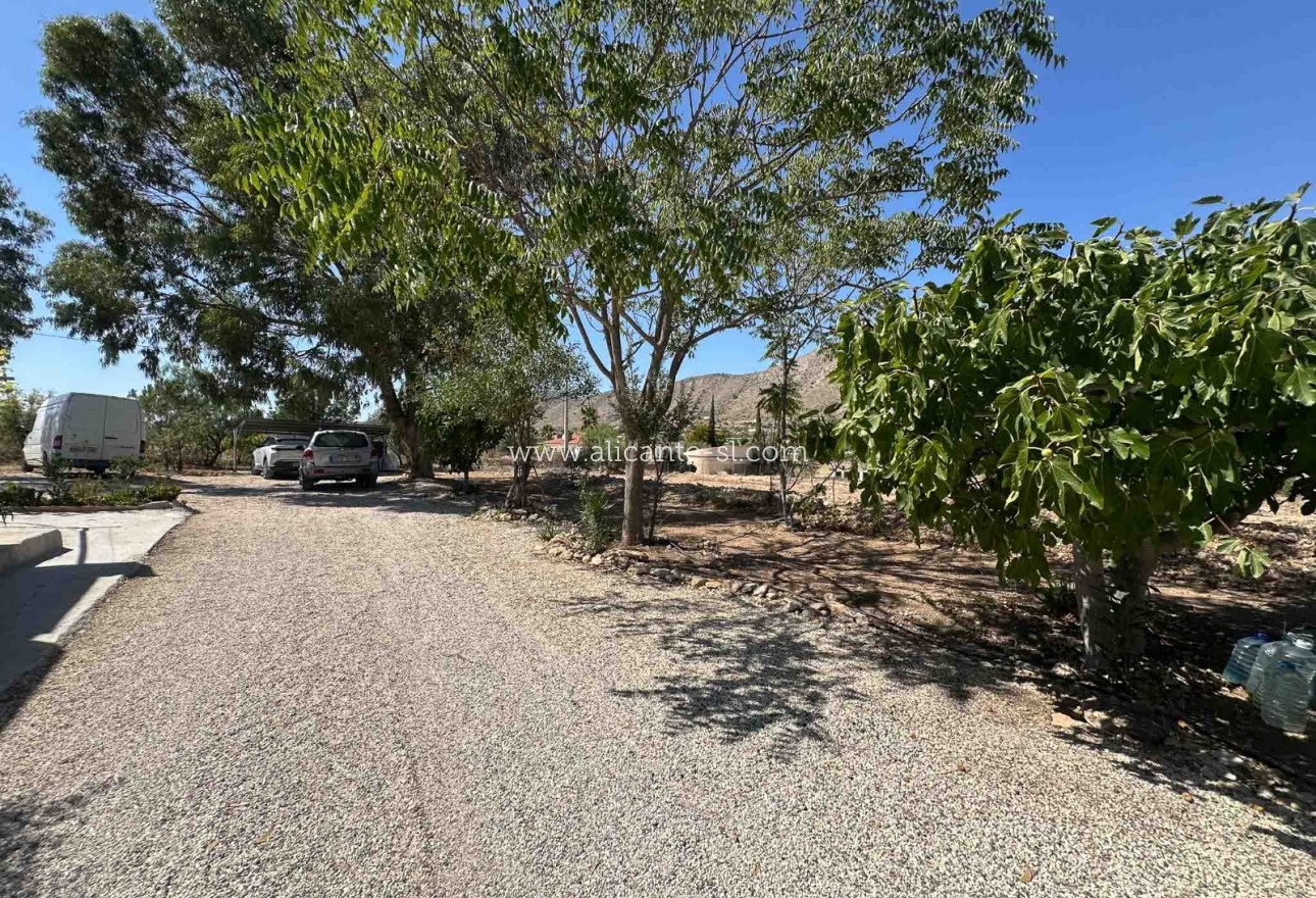 Sale - Finca - Hondón de las Nieves