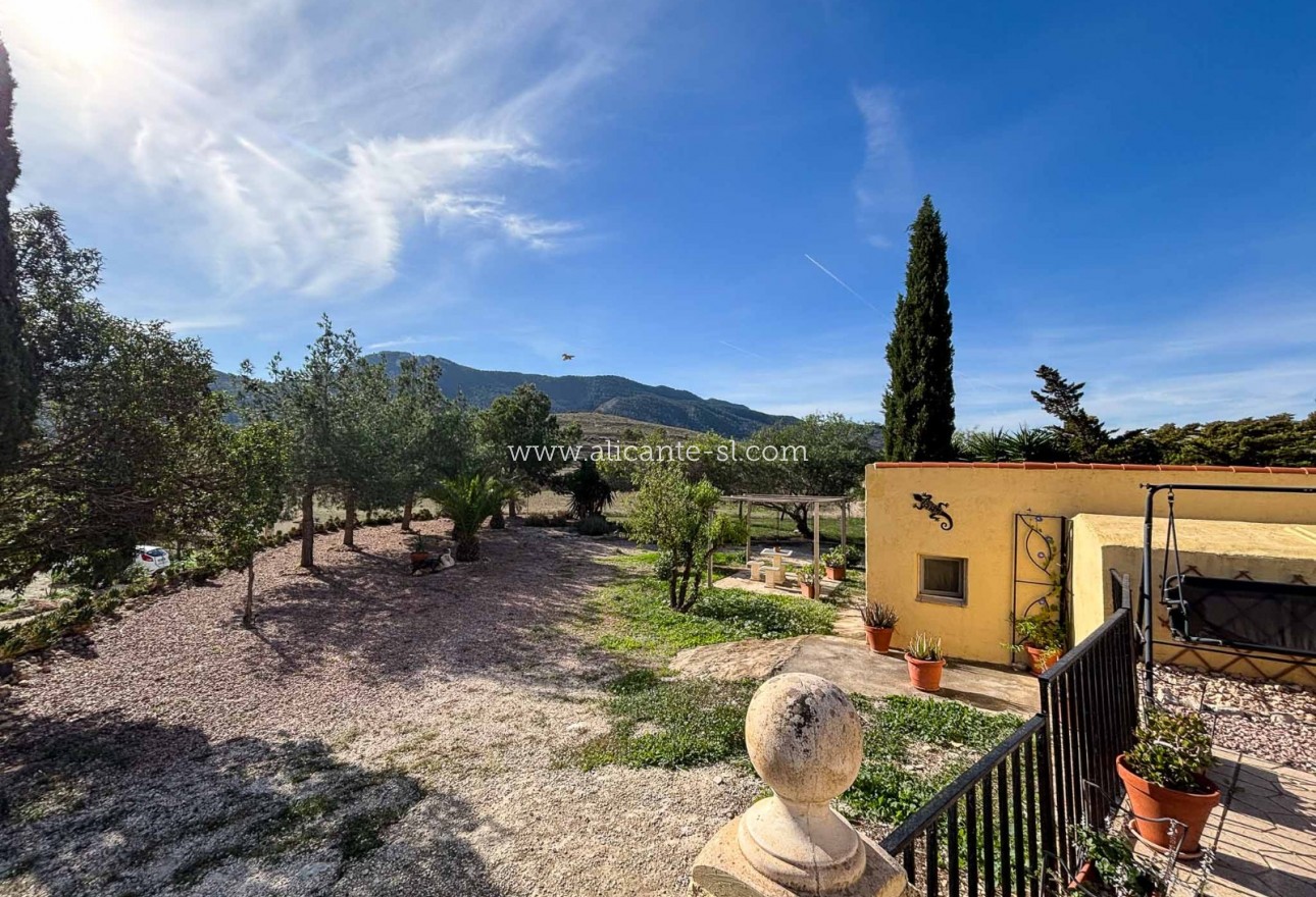 Sale - Finca - Hondón de las Nieves