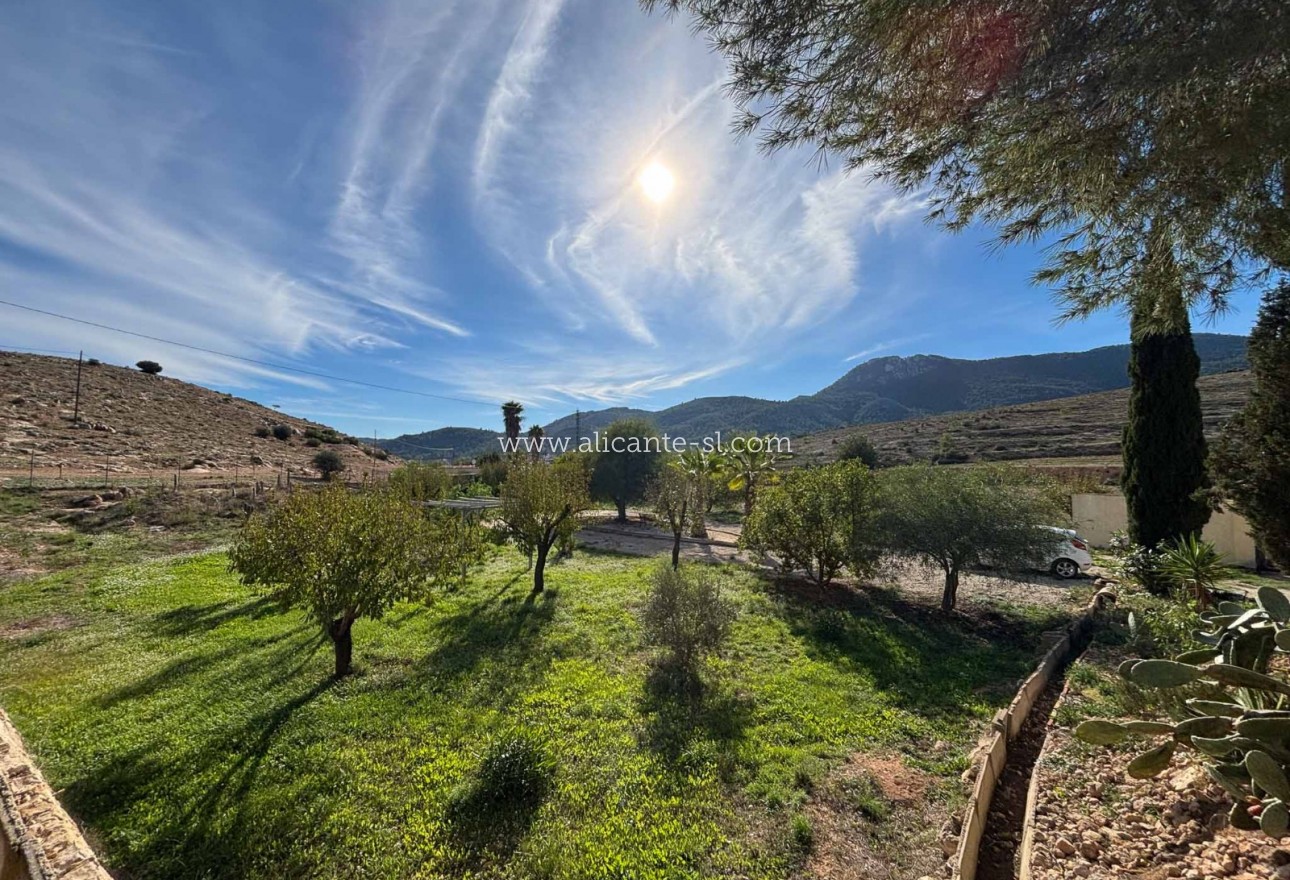 Sale - Finca - Hondón de las Nieves