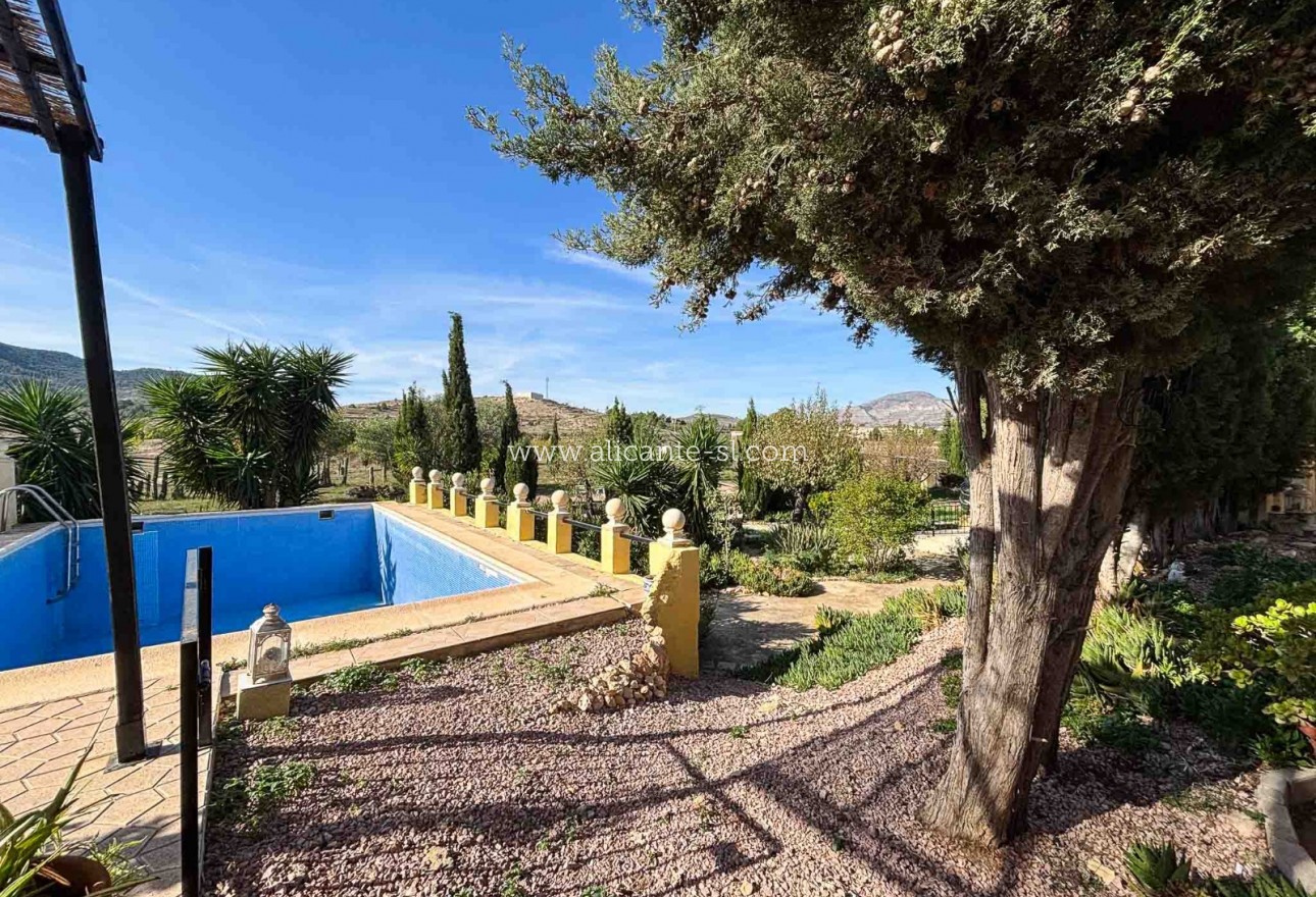 Sale - Finca - Hondón de las Nieves