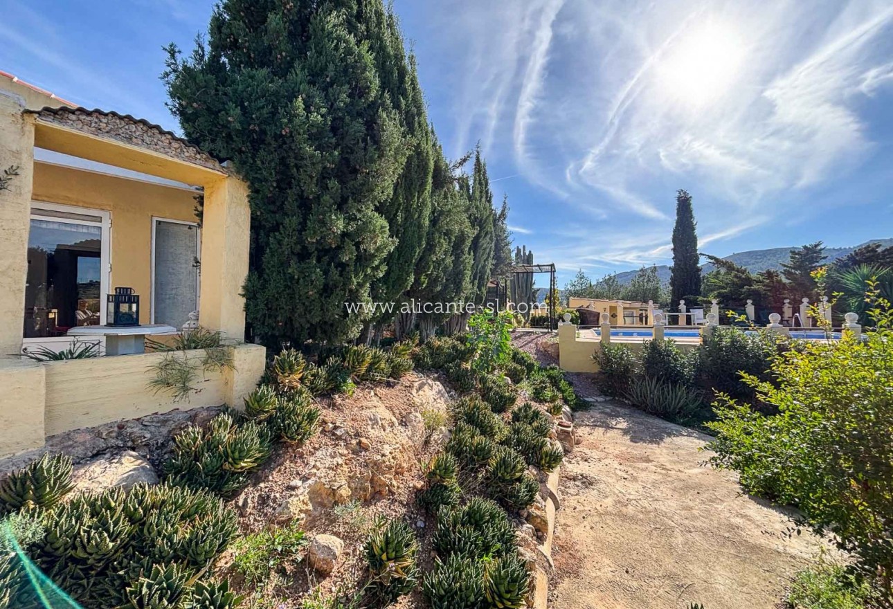 Sale - Finca - Hondón de las Nieves