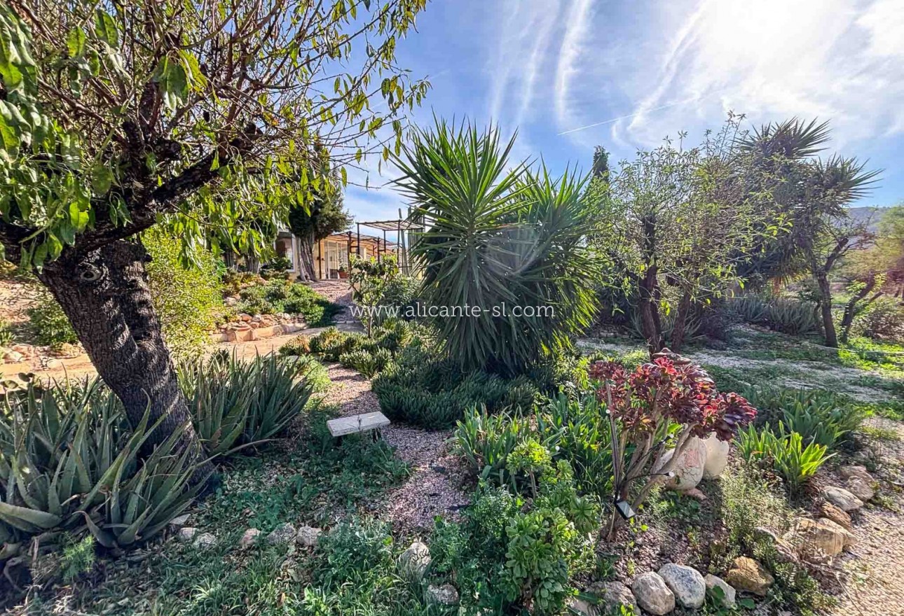 Sale - Finca - Hondón de las Nieves