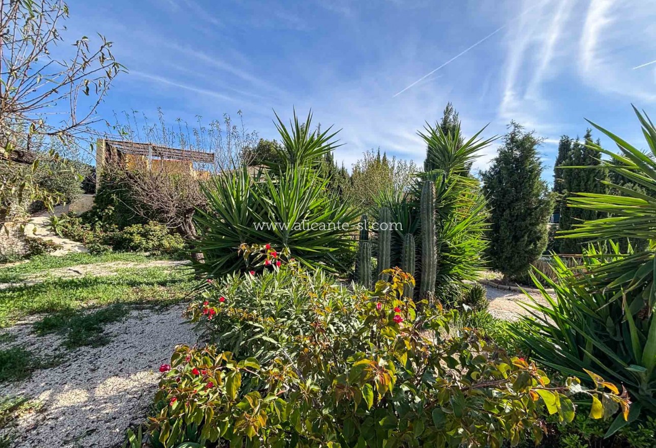 Sale - Finca - Hondón de las Nieves