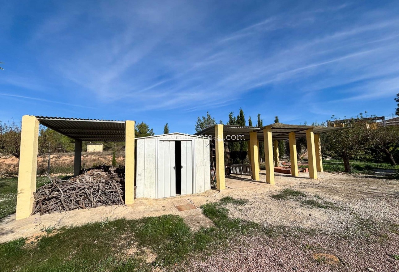 Sale - Finca - Hondón de las Nieves