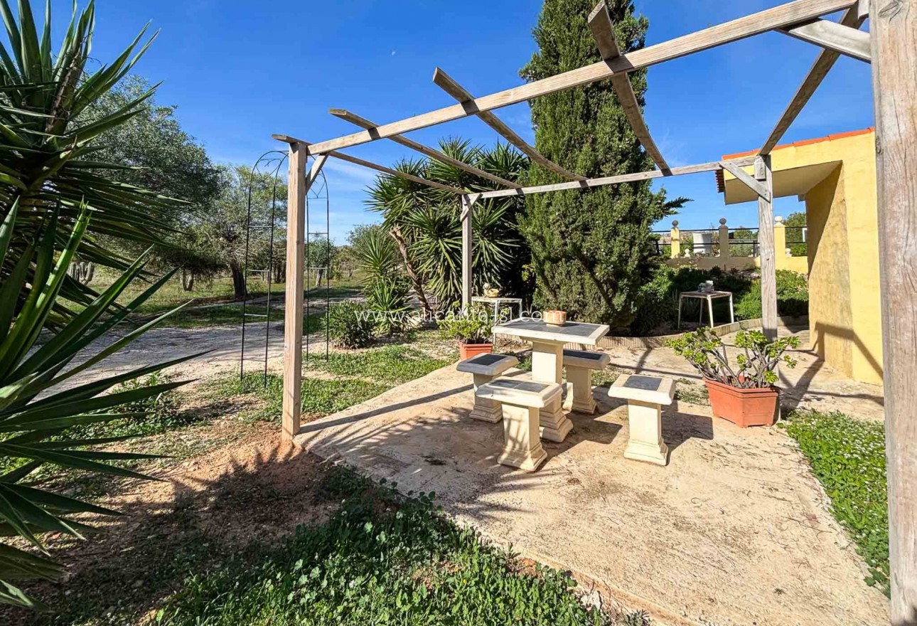 Sale - Finca - Hondón de las Nieves