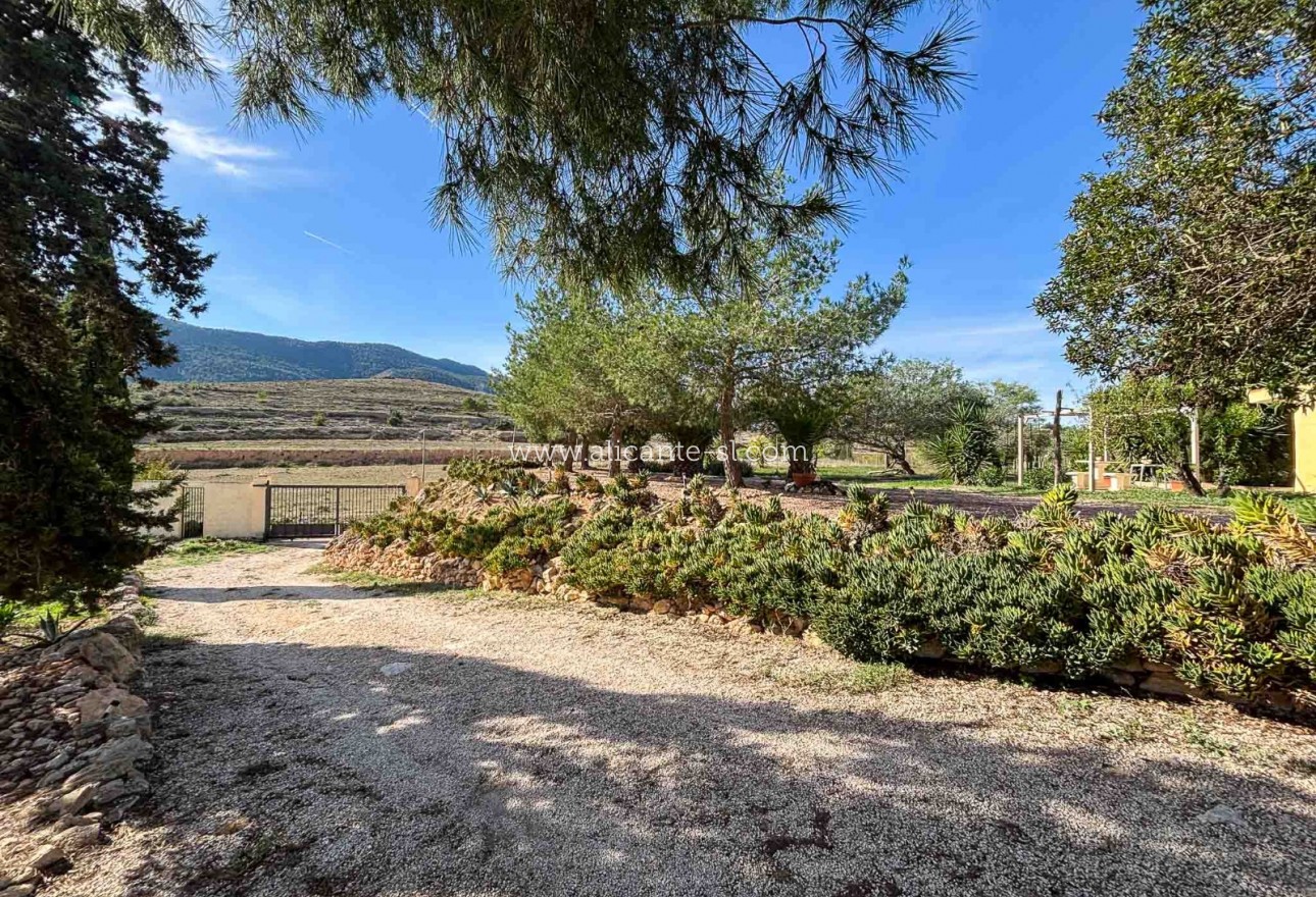 Sale - Finca - Hondón de las Nieves