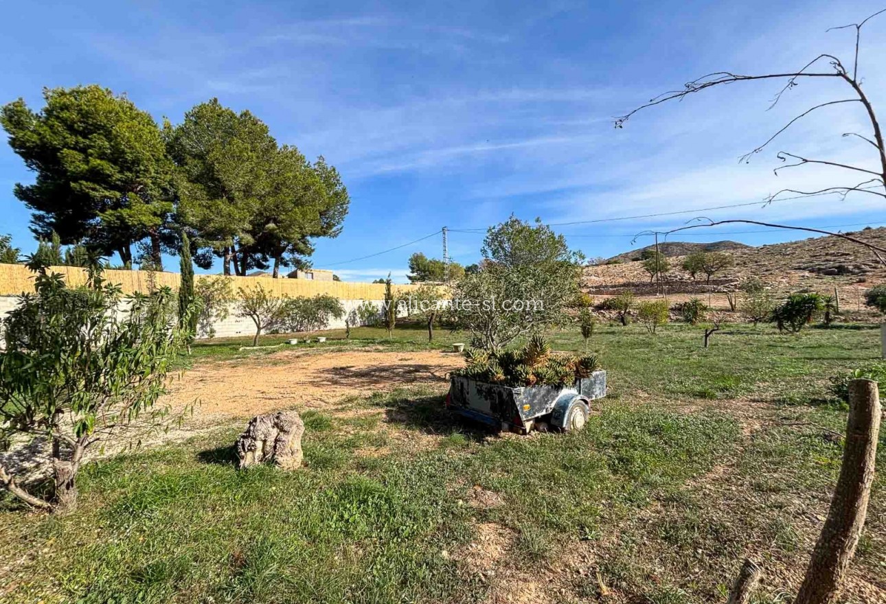 Sale - Finca - Hondón de las Nieves