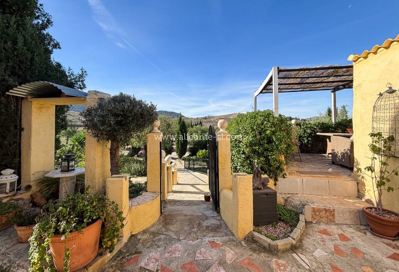 Sale - Finca - Hondón de las Nieves