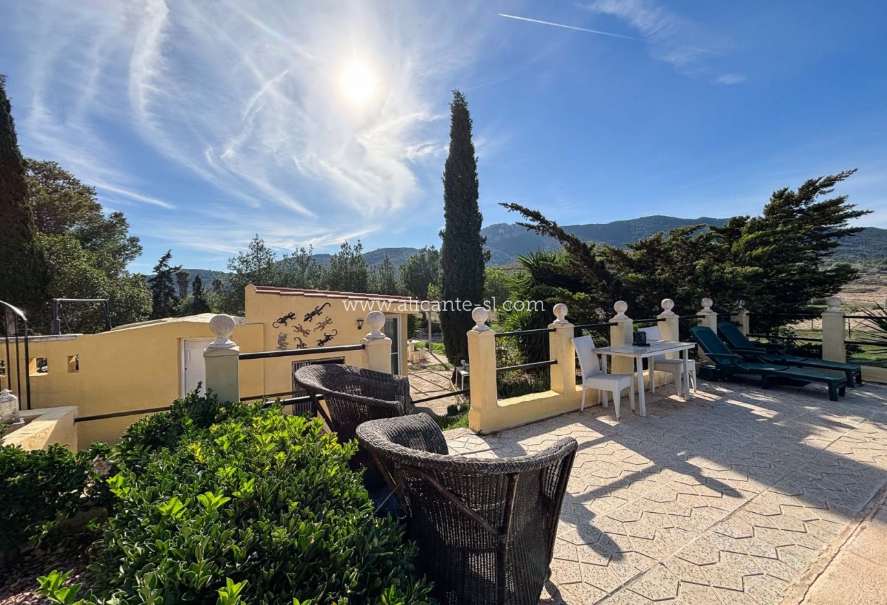 Sale - Finca - Hondón de las Nieves