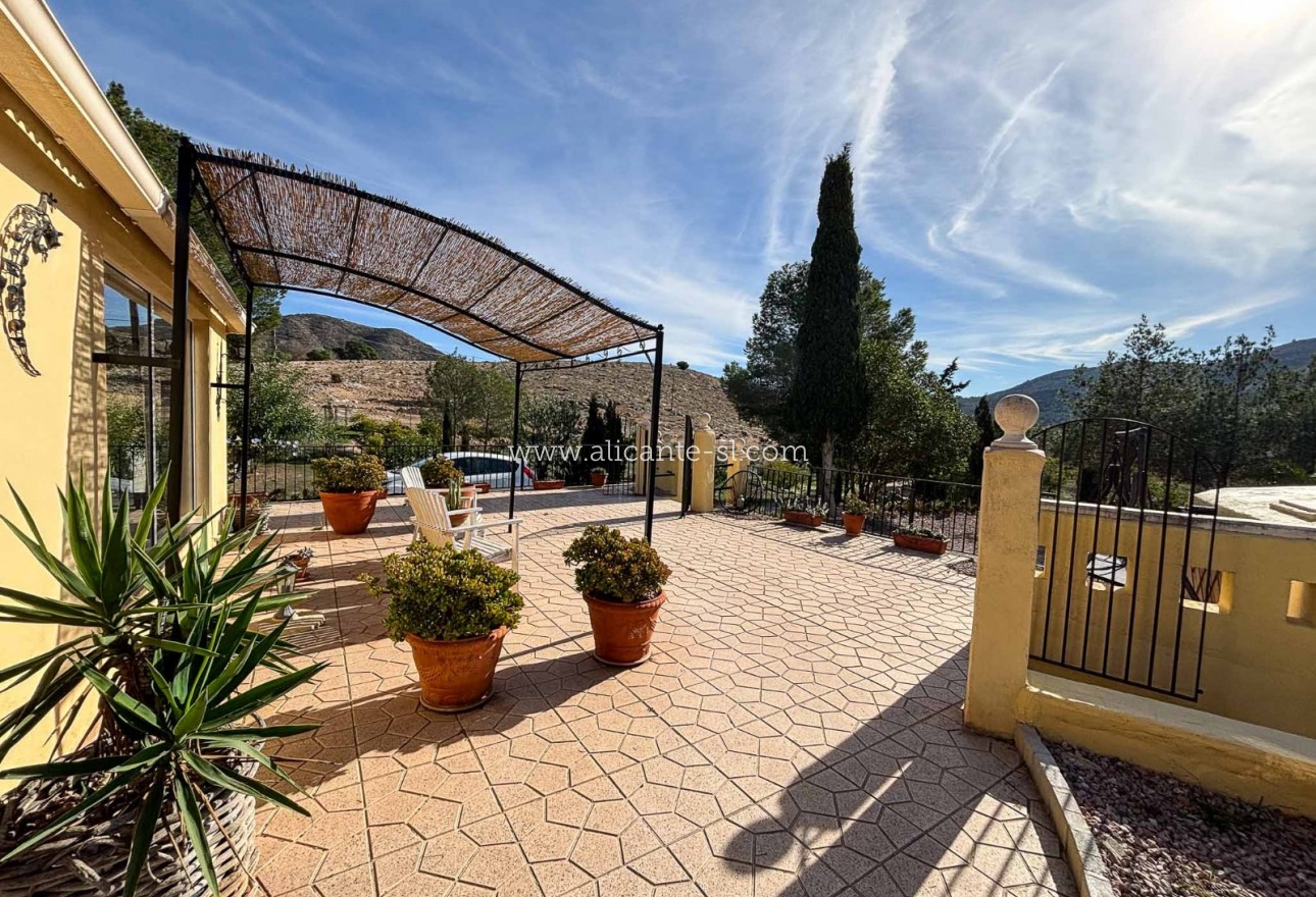 Sale - Finca - Hondón de las Nieves