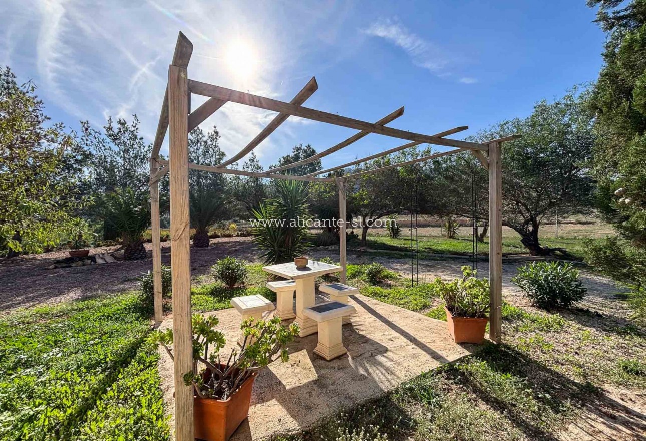 Sale - Finca - Hondón de las Nieves