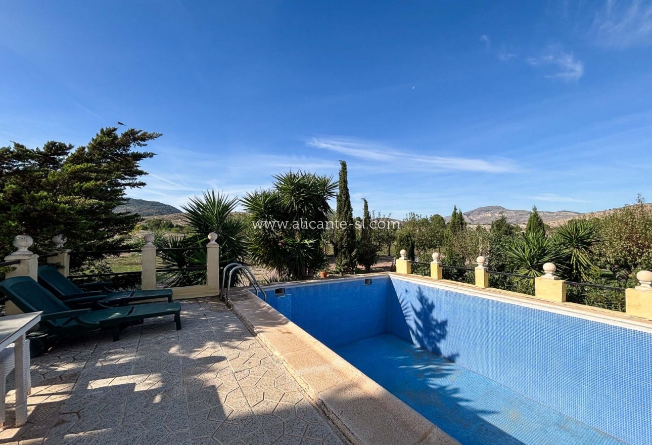 Sale - Finca - Hondón de las Nieves